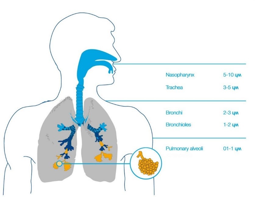 Air Filtration